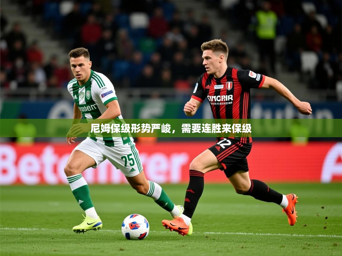 尼姆保级形势严峻,需要连胜来保级 尼姆保级形势严峻,需要连胜来保级